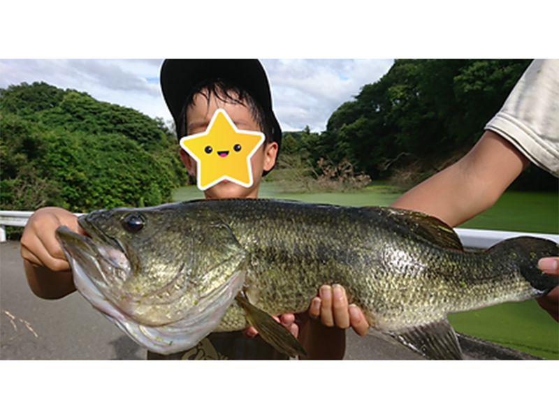 部活動